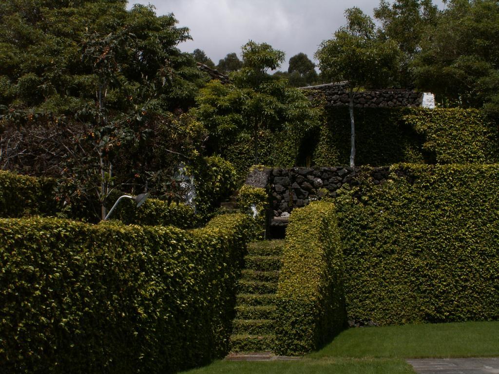Quinta Do Martelo Hotel อังกรา ดู เอโรอิสโม ภายนอก รูปภาพ